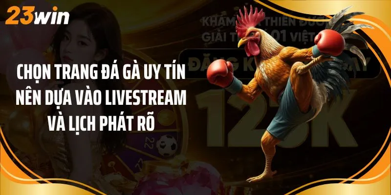 Chọn trang đá gà uy tín nên dựa vào livestream và lịch phát rõ