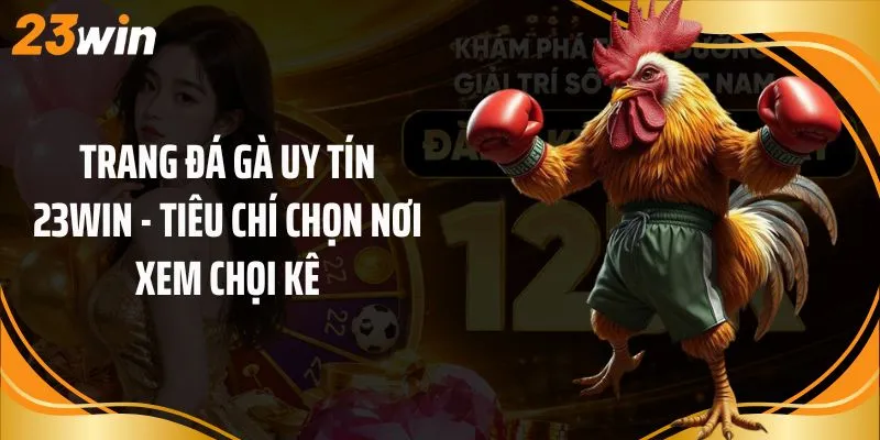 Trang Đá Gà Uy Tín 23Win - Tiêu Chí Chọn Nơi Xem Chọi Kê